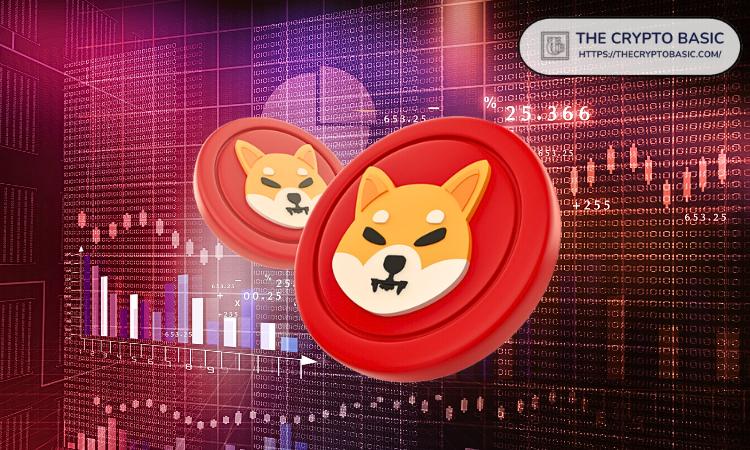 柴犬团队危机：情况愈发严峻