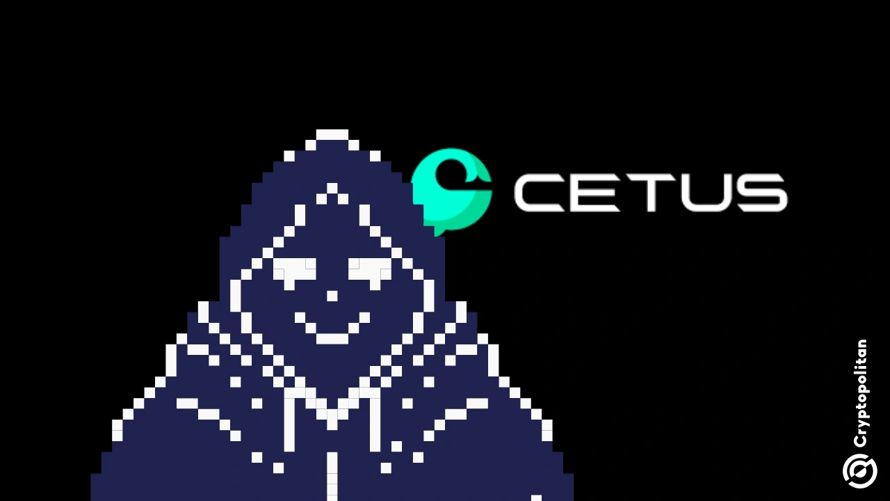 Cetus 需要重拾社区信任,还有漫长的道路需要走