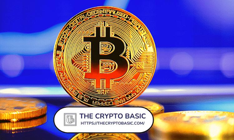 VanEck 警告比特币策略公司,资产净值平价即将到来,面临风险